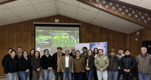 Corfo impulsa transferencia tecnológica para fortalecer el control de plagas en huertos de avellano europeo en La Araucanía