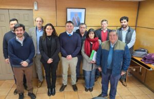 Ministerio de transportes y operadores firman acuerdo que garantiza la continuidad del transporte público en Villarrica