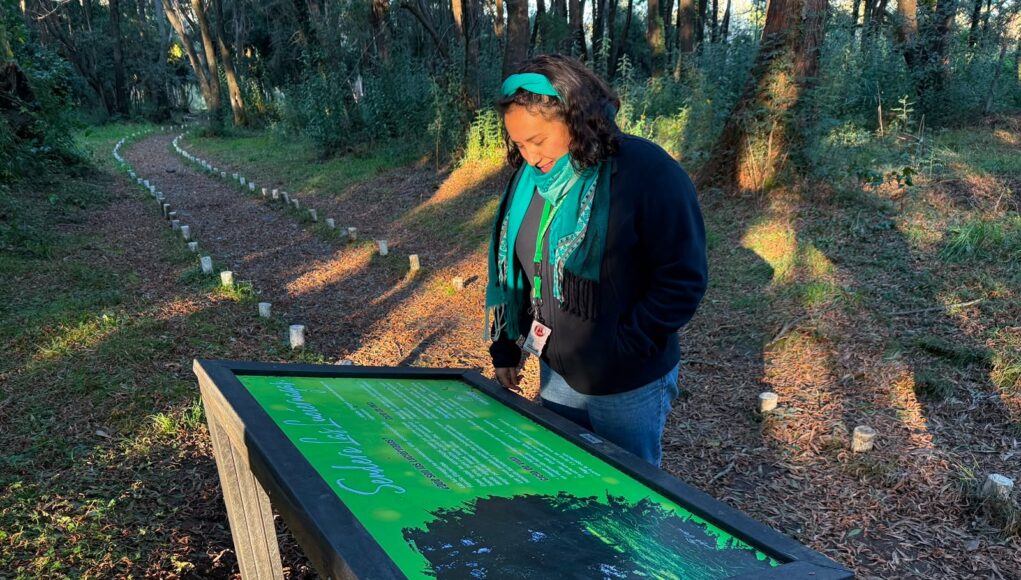 Municipio de Pitrufquén incorpora nueva señalética educativa sobre flora y fauna en isla municipal