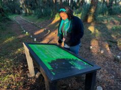 Municipio de Pitrufquén incorpora nueva señalética educativa sobre flora y fauna en isla municipal
