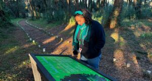Municipio de Pitrufquén incorpora nueva señalética educativa sobre flora y fauna en isla municipal