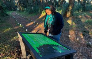 Municipio de Pitrufquén incorpora nueva señalética educativa sobre flora y fauna en isla municipal