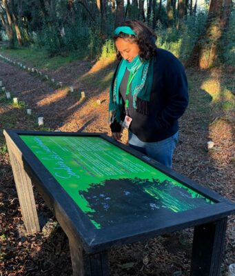 Municipio de Pitrufquén incorpora nueva señalética educativa sobre flora y fauna en isla municipal