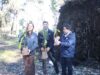Parque Isabel Riquelme de Lautaro será reforestado con especies nativas tras daños provocados por el temporal