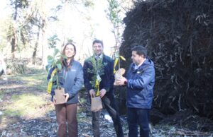 Parque Isabel Riquelme de Lautaro será reforestado con especies nativas tras daños provocados por el temporal