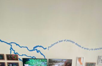 Cohabitar una cuenca en La Araucanía: cómo transformar los aprendizajes del aula en una exposición