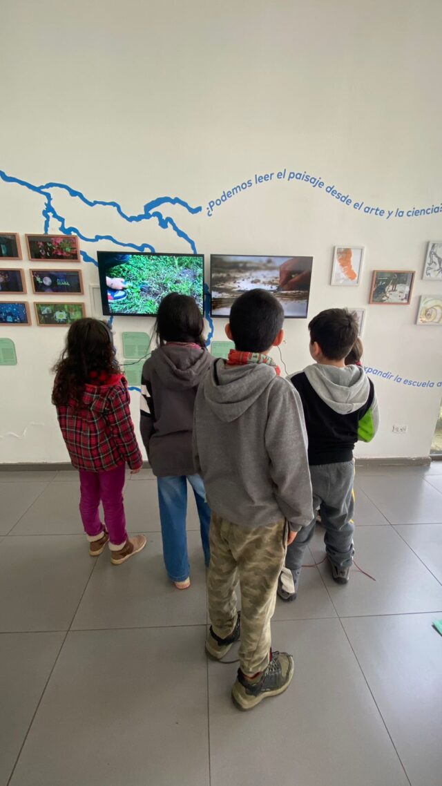 Cohabitar una cuenca en La Araucanía: cómo transformar los aprendizajes del aula en una exposición
