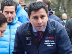 Regionalistas Verdes piden salida del Seremi de Obras Públicas de La Araucanía y exigen investigación por eventual intervención política desde el cargo