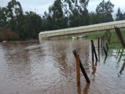 Exigen declarar emergencia agrícola en toda La Araucanía para apoyar a pequeños productores afectados