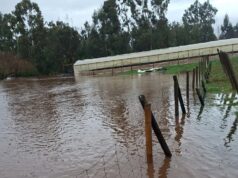 Exigen declarar emergencia agrícola en toda La Araucanía para apoyar a pequeños productores afectados