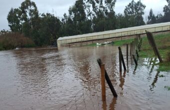 Exigen declarar emergencia agrícola en toda La Araucanía para apoyar a pequeños productores afectados