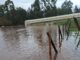 Exigen declarar emergencia agrícola en toda La Araucanía para apoyar a pequeños productores afectados