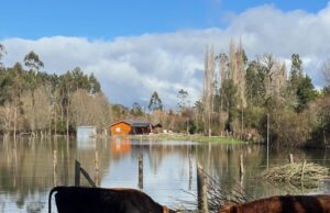 Más de 500 personas permanecen aisladas en Teodoro Schmidt por inundaciones