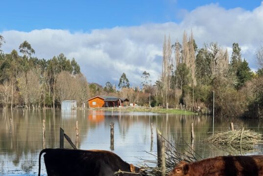 Más de 500 personas permanecen aisladas en Teodoro Schmidt por inundaciones