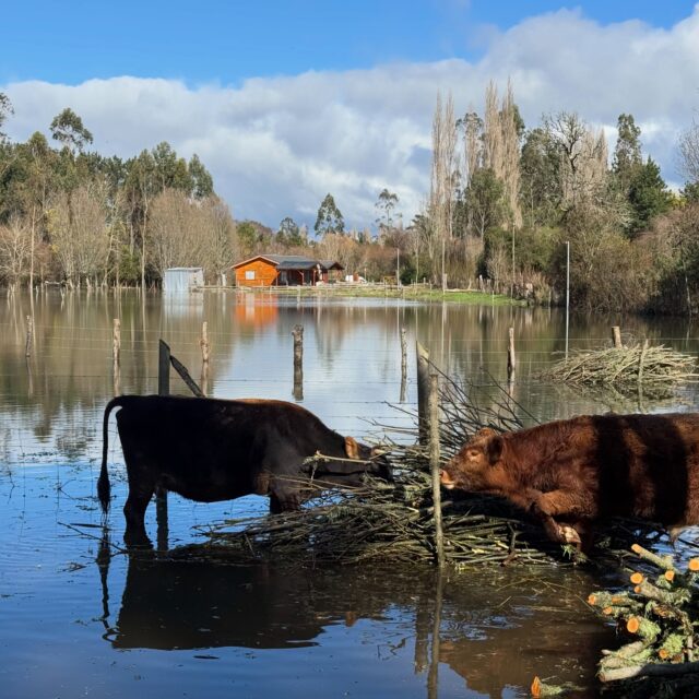 Más de 500 personas permanecen aisladas en Teodoro Schmidt por inundaciones