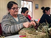 Manos de Freire que mantienen viva la artesanía: curso de cestería reúne a vecinos de Santa Julia