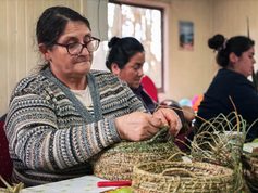 Manos de Freire que mantienen viva la artesanía: curso de cestería reúne a vecinos de Santa Julia