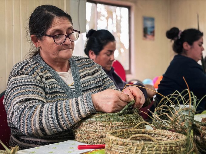 Manos de Freire que mantienen viva la artesanía: curso de cestería reúne a vecinos de Santa Julia
