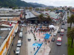 Doce años de presidio para mujer condenada por mortal apuñalamiento ocurrido cerca de la feria Pinto en Temuco