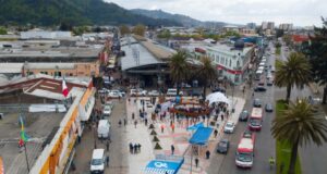 Doce años de presidio para mujer condenada por mortal apuñalamiento ocurrido cerca de la feria Pinto en Temuco