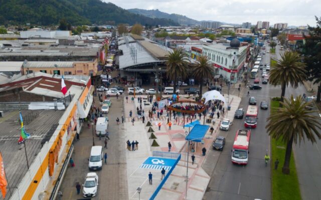 Doce años de presidio para mujer condenada por mortal apuñalamiento ocurrido cerca de la feria Pinto en Temuco