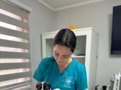 Mascotas ayudan a reducir la soledad y fortalecer el bienestar emocional, según expertos de la Universidad Santo Tomás Temuco