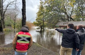 Río Trancura se desborda en Pucón y mantiene en alerta a vecinos de Quelhue