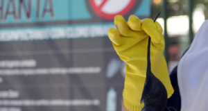 Ministerio de salud declara alerta sanitaria por Hantavirus: Villarrica refuerza llamado a la prevención durante todo el año
