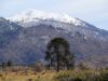 CONADI y CORFO invitan a participar en programa que apoya proyectos productivos mapuche en La Araucanía con hasta $120 millones