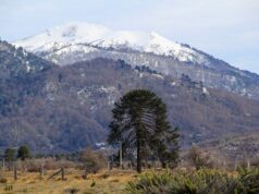 CONADI y CORFO invitan a participar en programa que apoya proyectos productivos mapuche en La Araucanía con hasta $120 millones