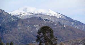 CONADI y CORFO invitan a participar en programa que apoya proyectos productivos mapuche en La Araucanía con hasta $120 millones