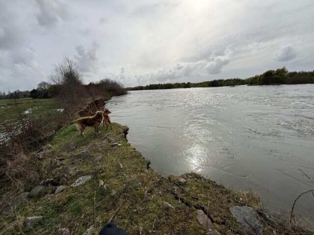 Municipalidad de Pitrufquén llama a evitar la ribera del río Toltén en Comuy por riesgo de desprendimiento