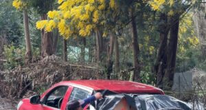 Municipio de Cholchol mantiene despliegue en terreno tras emergencia climática
