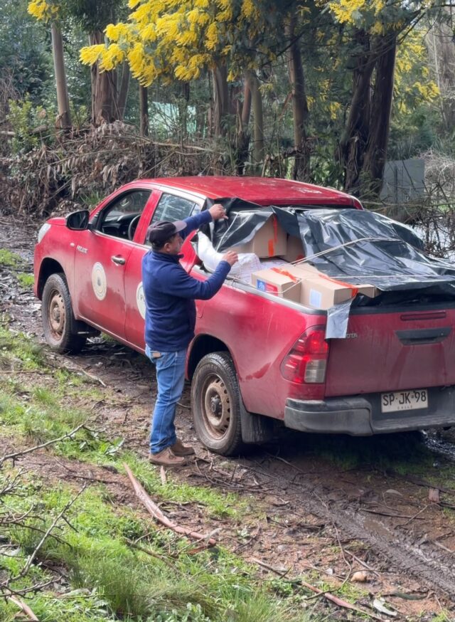 Municipio de Cholchol mantiene despliegue en terreno tras emergencia climática