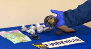 PDI detuvo a mujer por microtráfico de drogas en las inmediaciones de la plaza Teodoro Schmidt