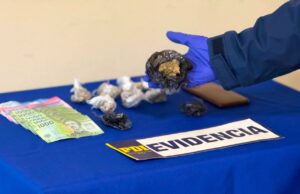 PDI detuvo a mujer por microtráfico de drogas en las inmediaciones de la plaza Teodoro Schmidt