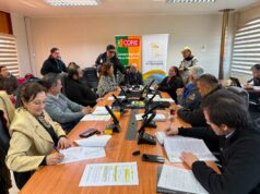 Comisión del CORE analiza y aprueba proyecto para transformar vereda norte de avenida Pedro León Gallo Sur en Pitrufquén