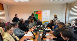 Comisión del CORE analiza y aprueba proyecto para transformar vereda norte de avenida Pedro León Gallo Sur en Pitrufquén