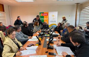 Comisión del CORE analiza y aprueba proyecto para transformar vereda norte de avenida Pedro León Gallo Sur en Pitrufquén