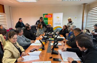 Comisión del CORE analiza y aprueba proyecto para transformar vereda norte de avenida Pedro León Gallo Sur en Pitrufquén