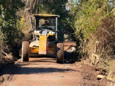 Avanzan obras de conservación de caminos rurales en Quechuco y Carilafquén en Pitrufquén