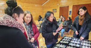 Freire: 55 mujeres del programa mujeres jefas de Hogar accedieron a atención oftalmológica