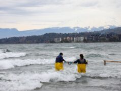 Plan de descontaminación del lago Villarica entra en vigencia: autoridades y vecinos reafirman compromiso con su recuperación