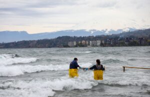 Plan de descontaminación del lago Villarica entra en vigencia: autoridades y vecinos reafirman compromiso con su recuperación