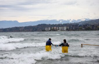 Plan de descontaminación del lago Villarica entra en vigencia: autoridades y vecinos reafirman compromiso con su recuperación