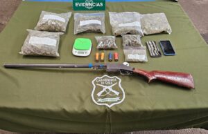 700 gramos de cannabis y un arma fuera de registro: así fue el operativo que terminó con un detenido en Collipulli