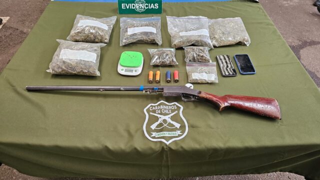 700 gramos de cannabis y un arma fuera de registro: así fue el operativo que terminó con un detenido en Collipulli