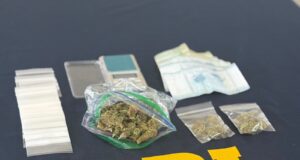 Investigación por venta de drogas culmina con un detenido y decomiso de 69 dosis de marihuana en Pucón