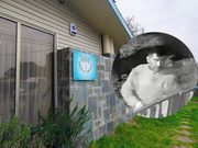 Inexperto ladrón en Pitrufquén quedó registrado: rompió una ventana, sacó especies y las abandonó en la calle