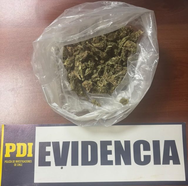 PDI Temuco incauta más de 230 gramos de droga en dos procedimientos y detiene a dos personas
